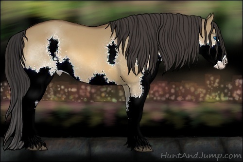 Horse Color:Bay Dun Splash 