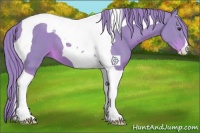 Horse Color:Watercolor Chestnut Tobiano 