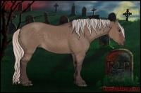 Horse Color:Silver Brown Dun