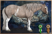 Horse Color:White Spotted Silver Brown Roan Dun 