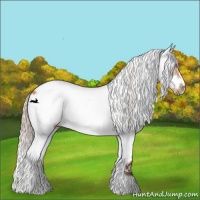 Horse Color:White Spotted Silver Bay Splash Frame 
