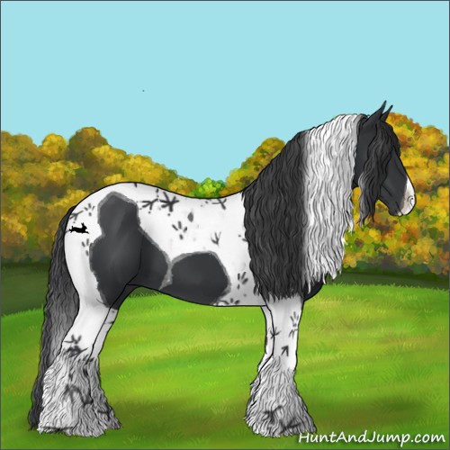 Horse Color:Black Tobiano 