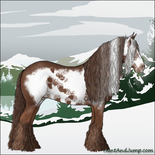 Horse Color:Liver Chestnut Frame 