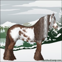 Horse Color:Liver Chestnut Frame