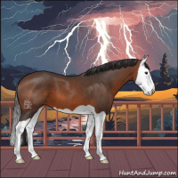 Horse Color:Brown Splash 