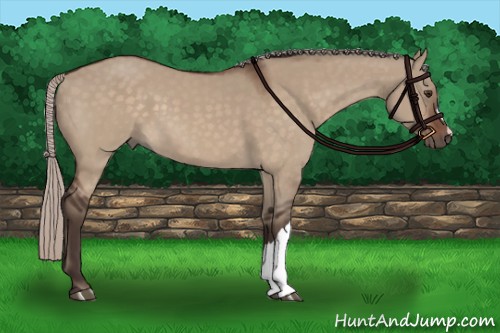 Horse Color:Silver Brown Dun 