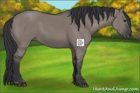 Horse Color:Grullo Rabicano 