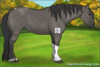 Horse Color:Grullo Tobiano 