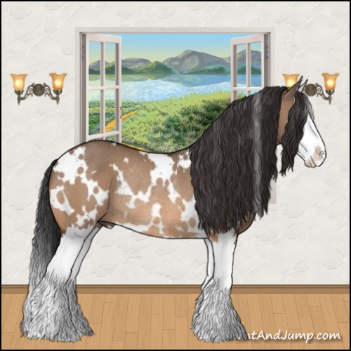 Horse Color:White Spotted Bay Dun Splash Rabicano 