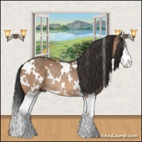 Horse Color:White Spotted Bay Dun Splash Rabicano 