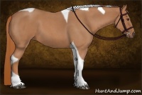 Horse Color:Red Roan Tobiano 