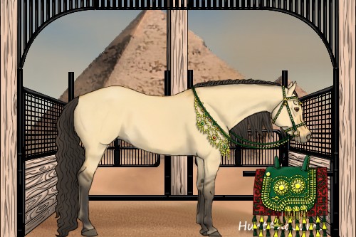 Horse Color:Buckskin Dun