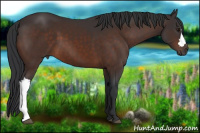 Horse Color:Brown 