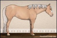 Horse Color:Silver Amber Champagne Frame 
