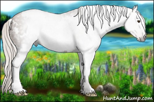 Horse Color:Gray White Spotted Silver Black Pearl