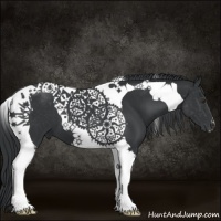 Horse Color:Black Chinchilla Tobiano 