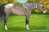 Horse Color:Brown Roan Dun Sabino Varnish 