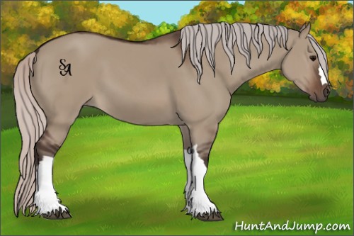 Horse Color:Silver Brown Dun