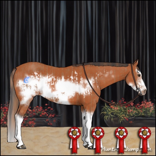 Horse Color:Chestnut Splash Frame and Bay Splash Frame