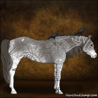 Horse Color:White Spotted Grullo Appaloosa 