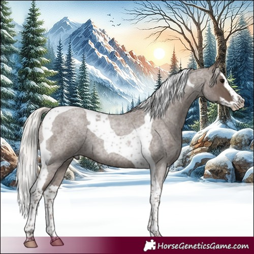 Horse Color:Silver Blue Roan Splash Tobiano 