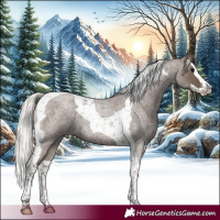 Horse Color:Silver Blue Roan Splash Tobiano