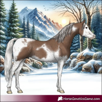 Horse Color:Silver Black Splash Tobiano 