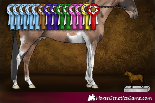 Horse Color:Brown Tobiano Rabicano  and Black Pearl Tobiano Rabicano 