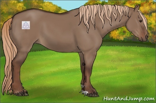 Horse Color:Liver Red Dun 