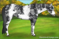 Horse Color:White Spotted Black Frame