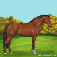 Horse Color:Brown 
