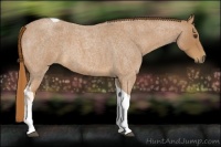 Horse Color:Red Roan Tobiano 