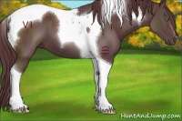 Horse Color:Chocolate Black Tobiano 