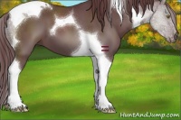 Horse Color:Chocolate Black Tobiano 