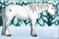 Horse Color:Gray Watercolor Bay 