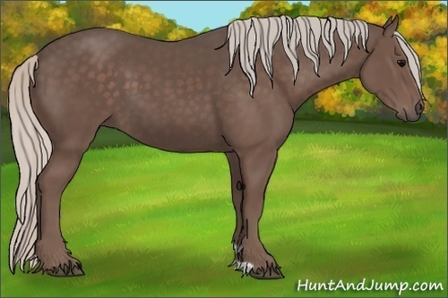 Horse Color:Silver Black 