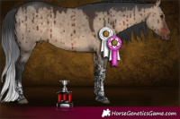 Horse Color:Brown Dun Tobiano Brindle 