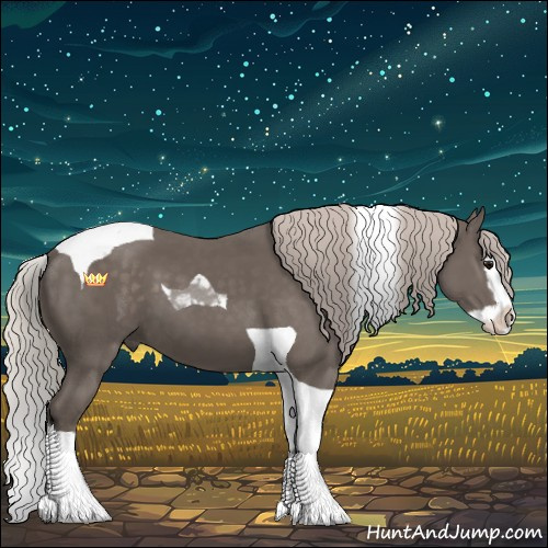 Horse Color:Silver Black Splash Tobiano 