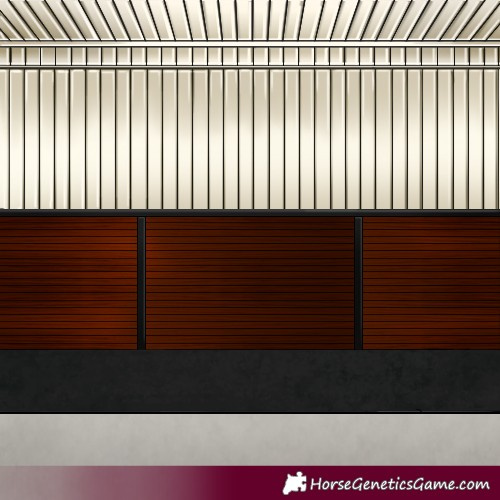 Horse Color:Bay Tobiano 