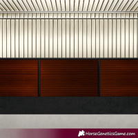 Horse Color:Bay Tobiano 