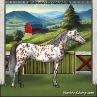 Horse Color:Bay Frame Appaloosa