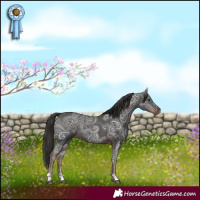 Horse Color:Liver Chestnut Ice 