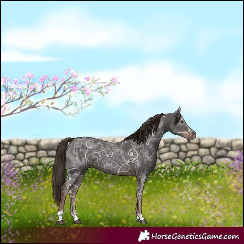Horse Color:Liver Chestnut Ice