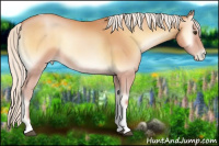 Horse Color:Silver Bay Pearl Onyx Tobiano 