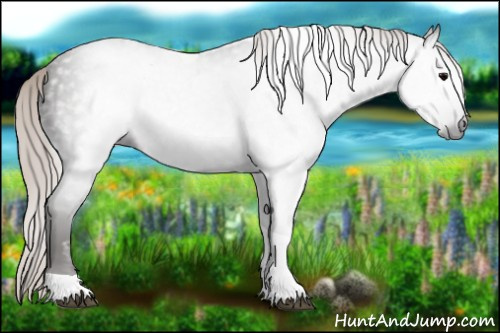 Horse Color:Gray Silver Black Tobiano