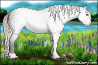 Horse Color:Gray Silver Black Tobiano 