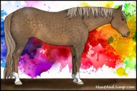 Horse Color:Chocolate Palomino Roan