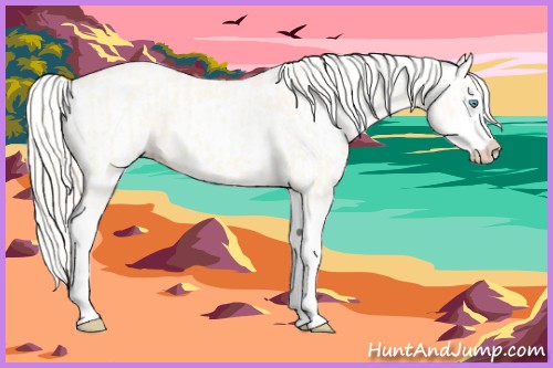 Horse Color:Cremello Dun Splash and Cremello Dun Splash
