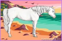 Horse Color:Cremello Dun Splash  and Cremello Dun Splash 