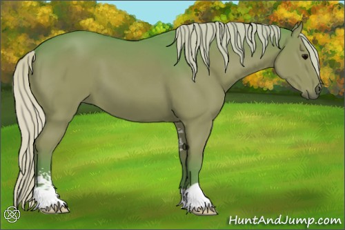 Horse Color:Watercolor Silver Black Sabino 